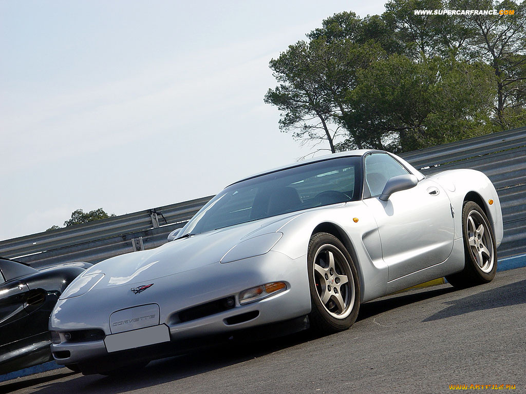 chevrolet, corvette, автомобили, выставки, уличные, фото