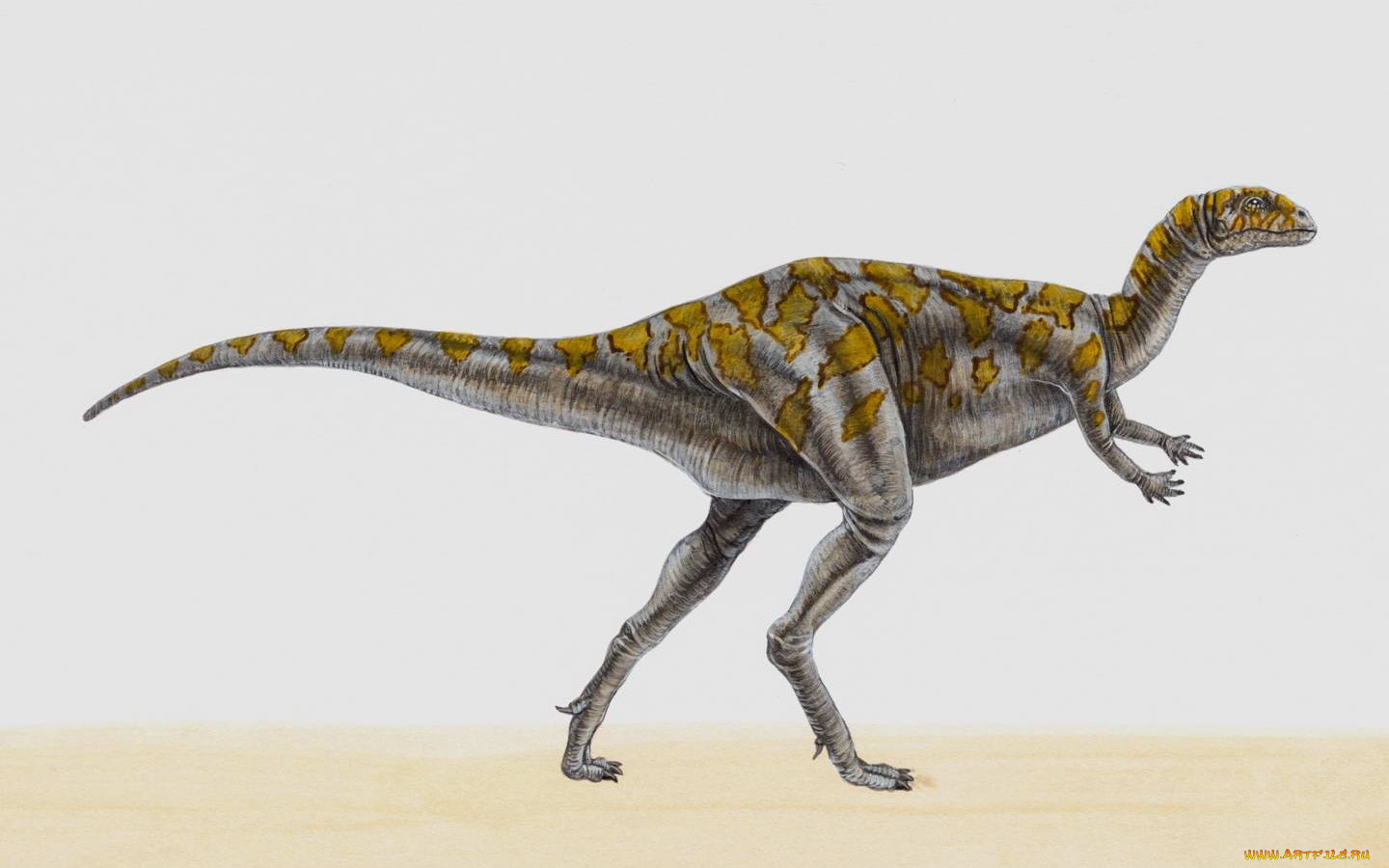 рисованные, животные, доисторические