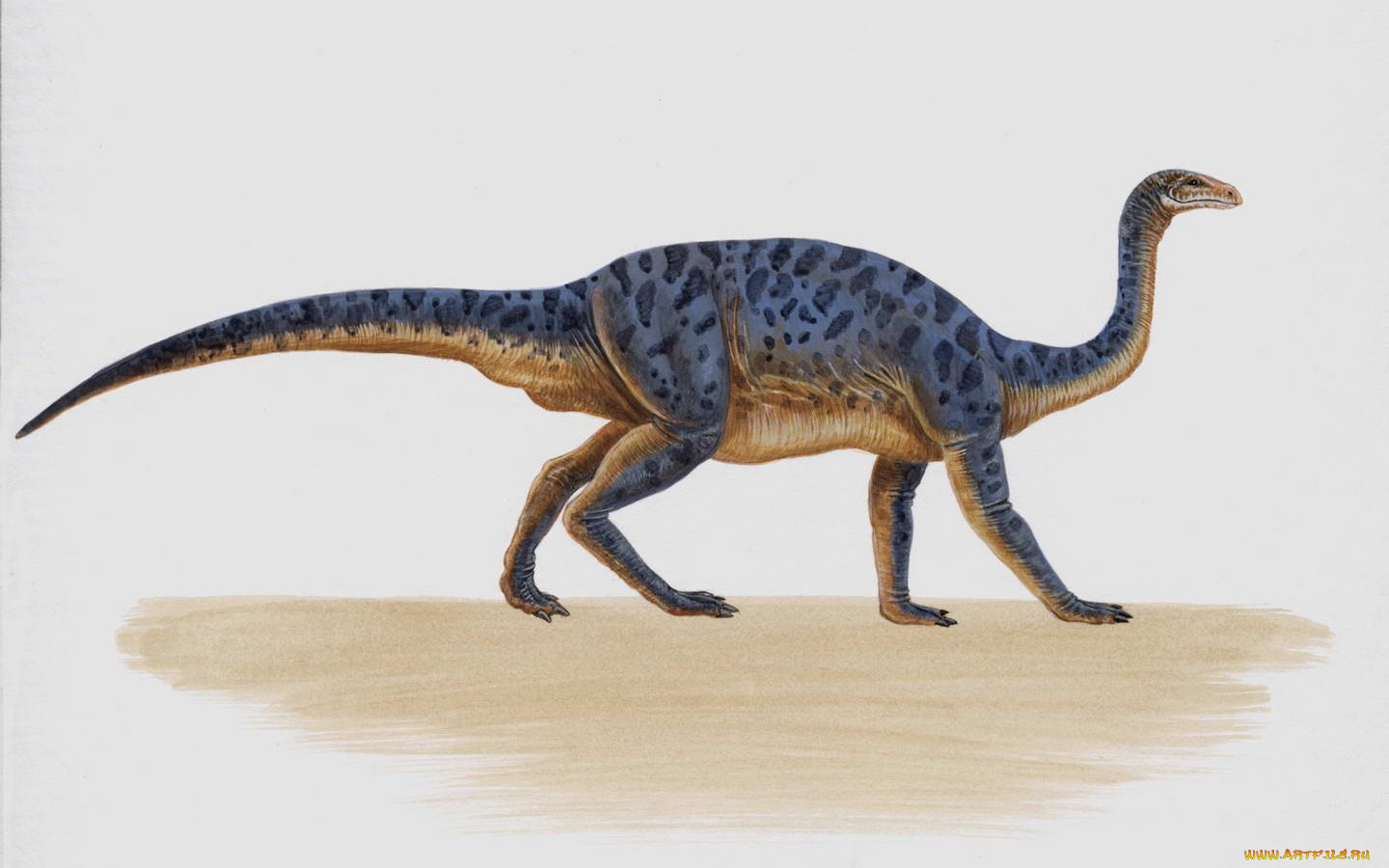 рисованные, животные, доисторические