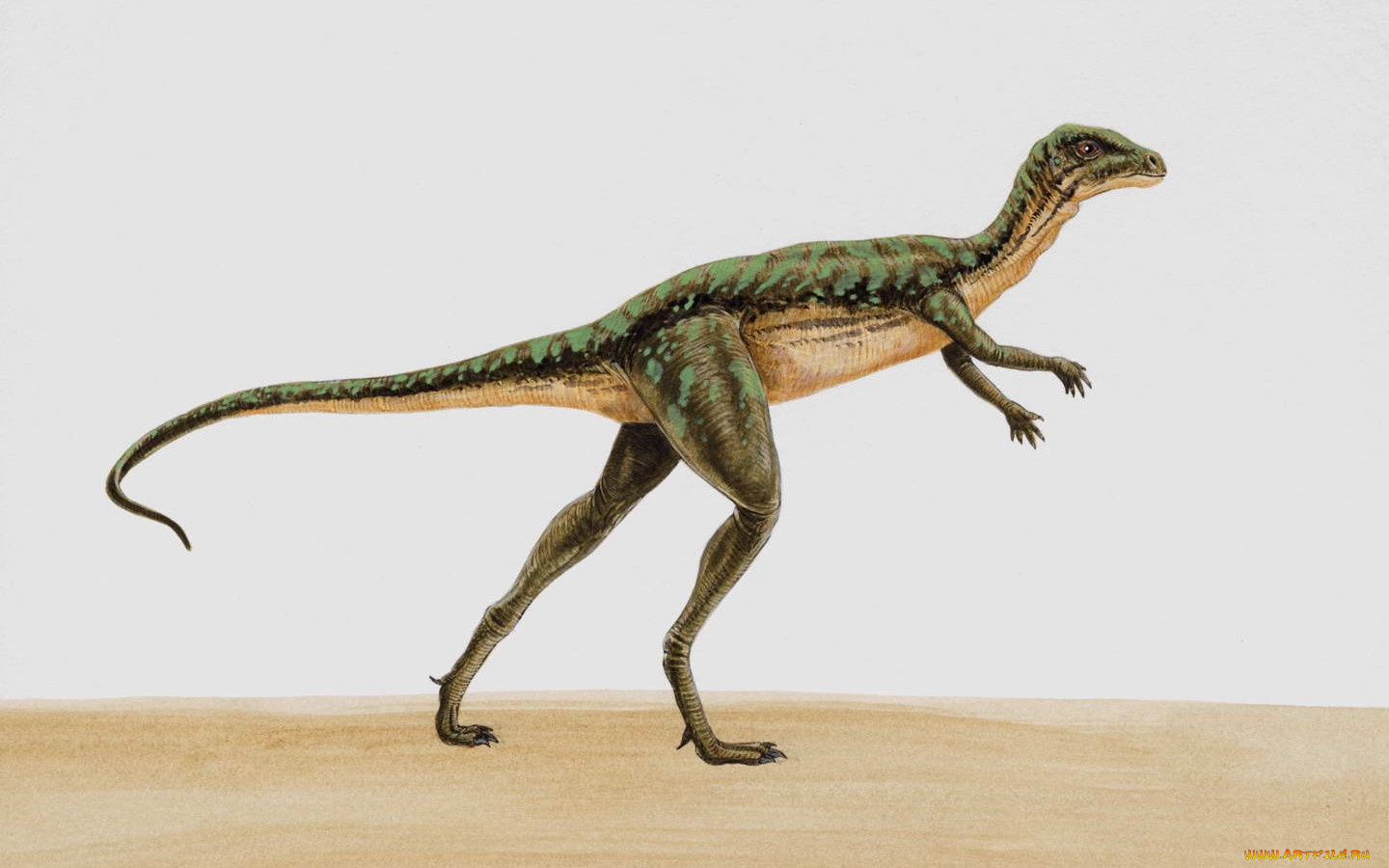 рисованные, животные, доисторические