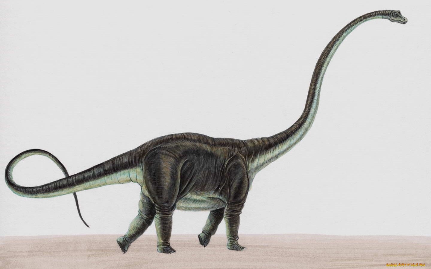 рисованные, животные, доисторические