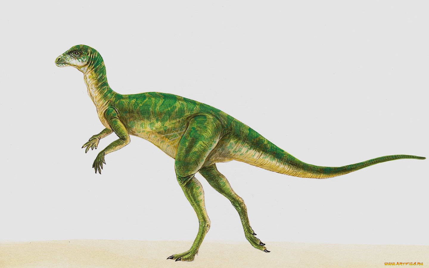 рисованные, животные, доисторические