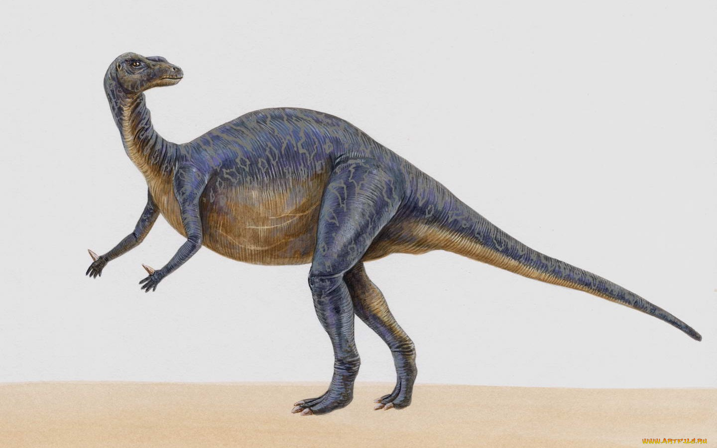 рисованные, животные, доисторические