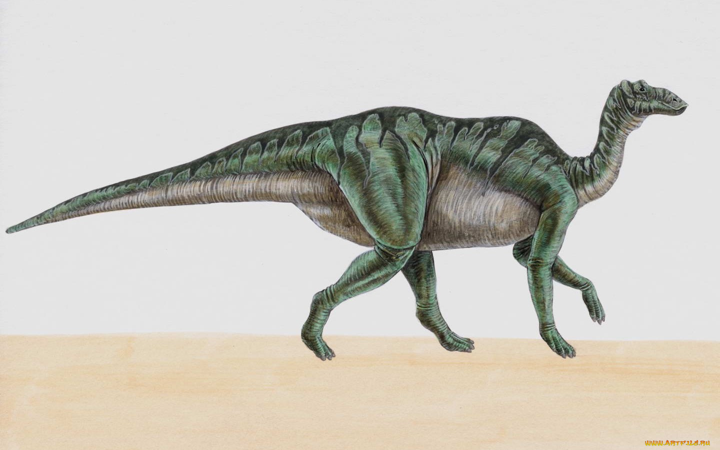 рисованные, животные, доисторические