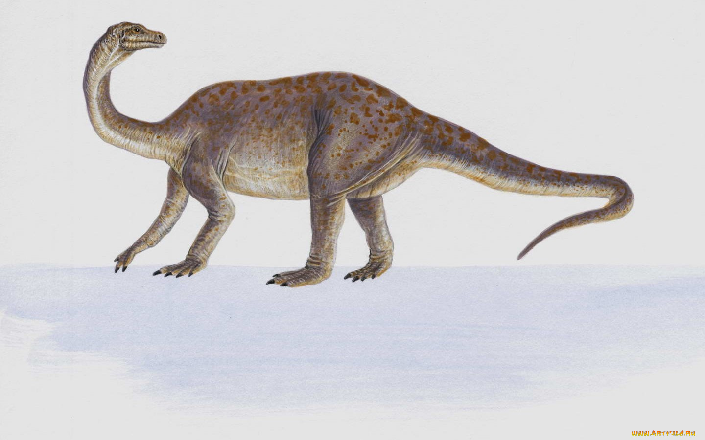 рисованные, животные, доисторические