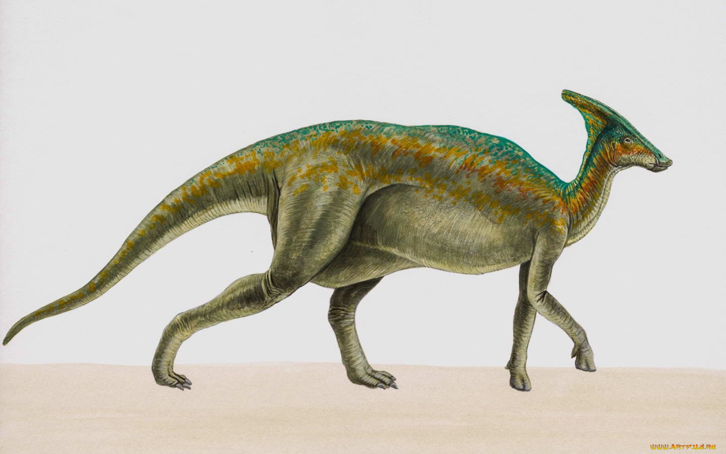 рисованные, животные, доисторические