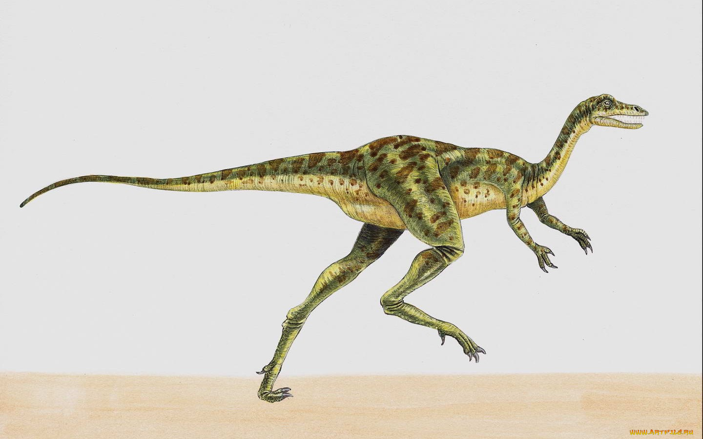 рисованные, животные, доисторические