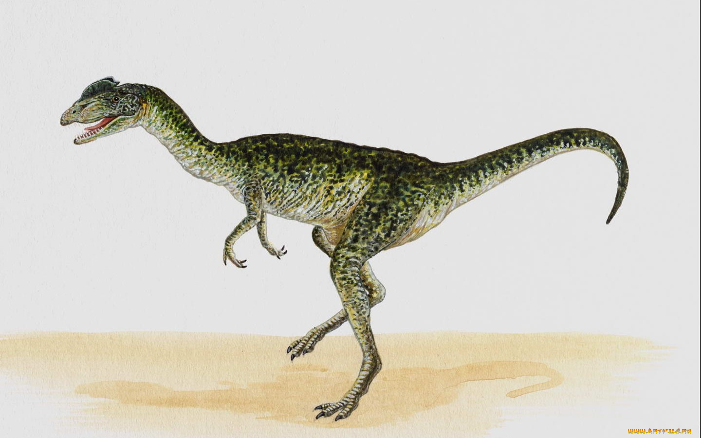 рисованные, животные, доисторические