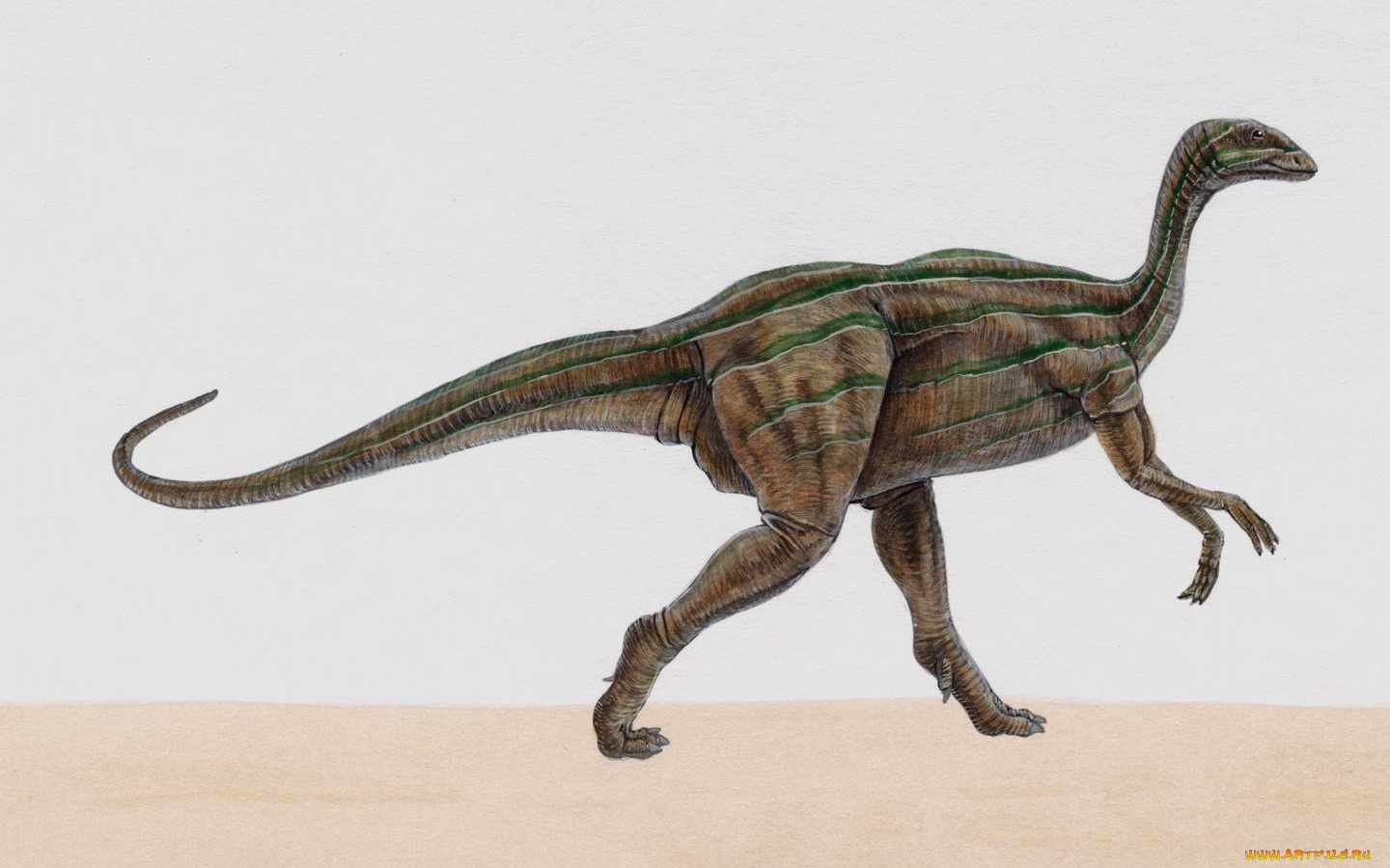 рисованные, животные, доисторические