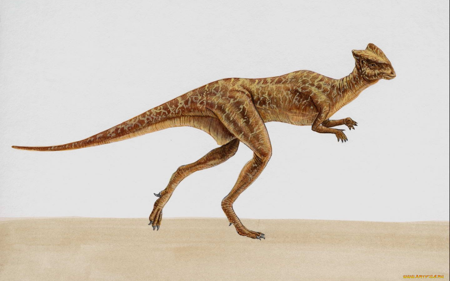 рисованные, животные, доисторические