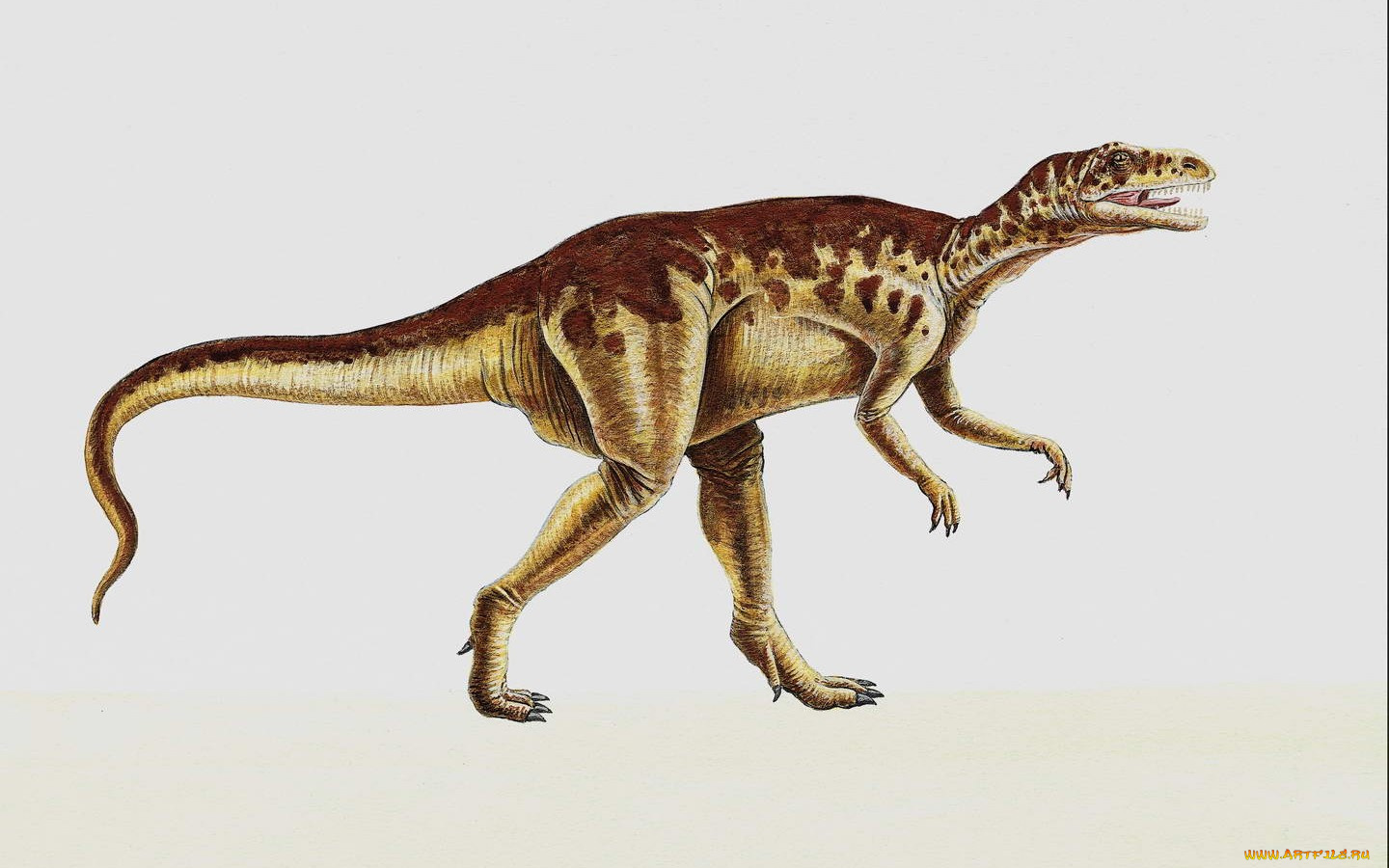 рисованные, животные, доисторические