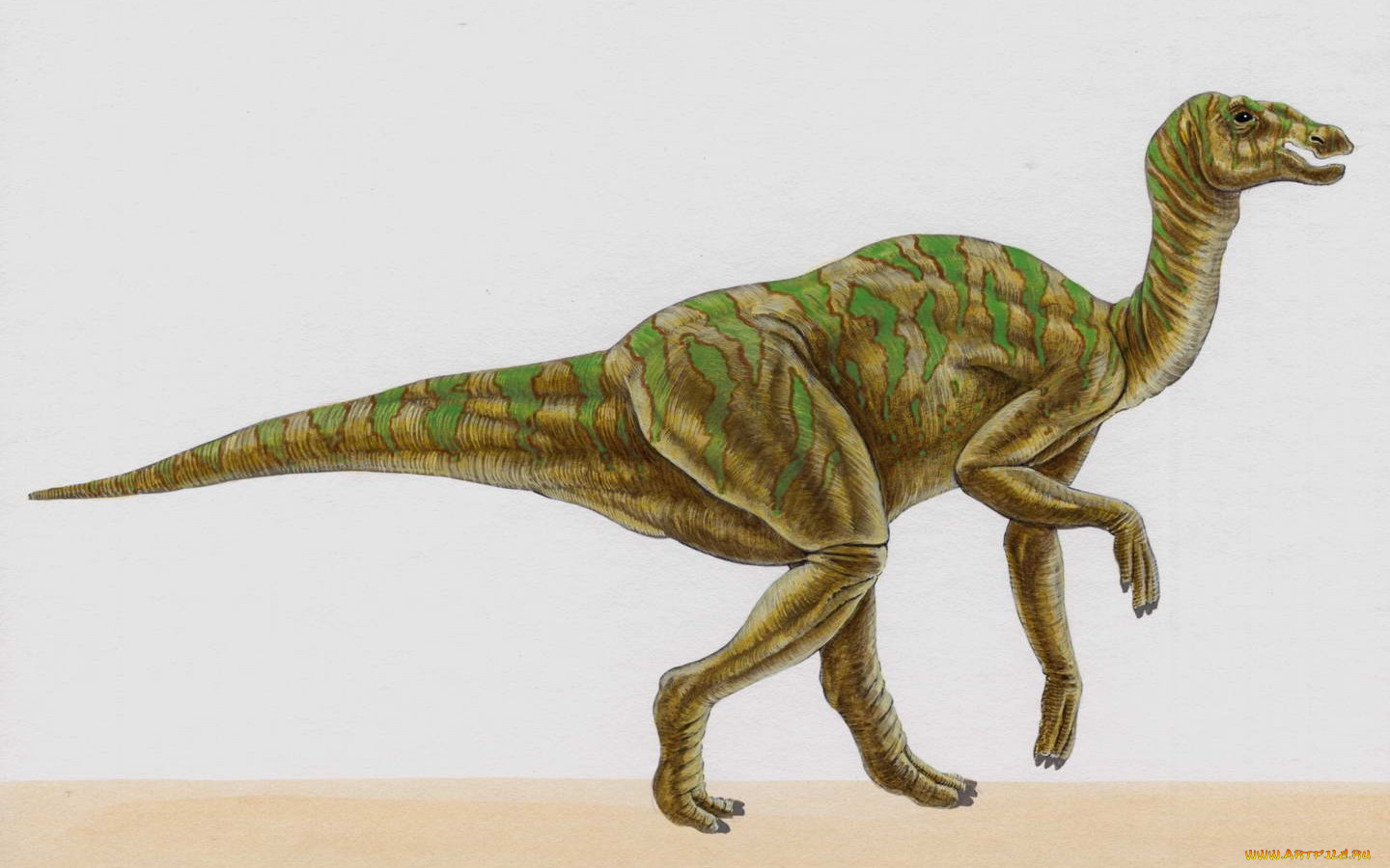 рисованные, животные, доисторические