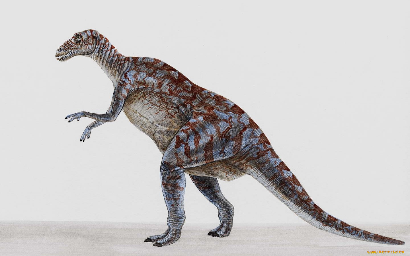 рисованные, животные, доисторические