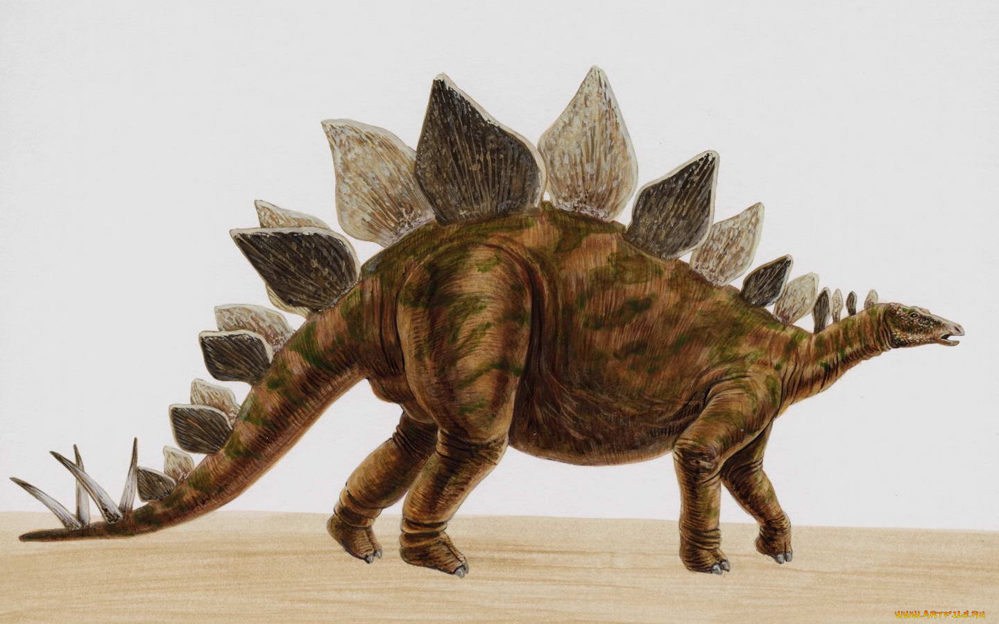 рисованные, животные, доисторические