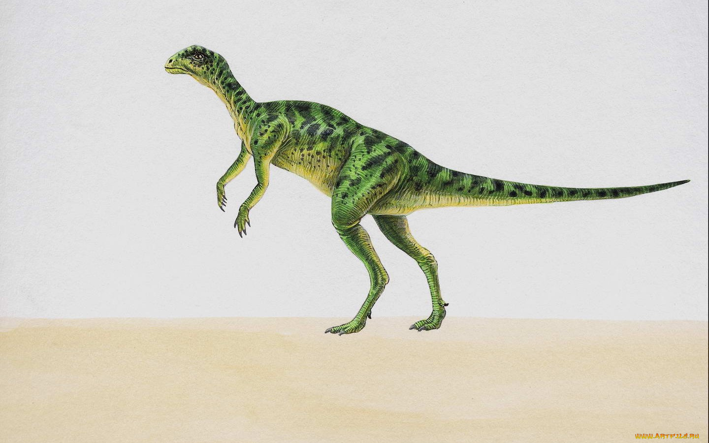 рисованные, животные, доисторические