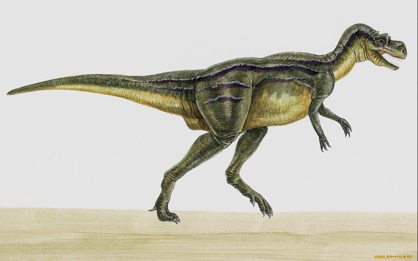 рисованные, животные, доисторические