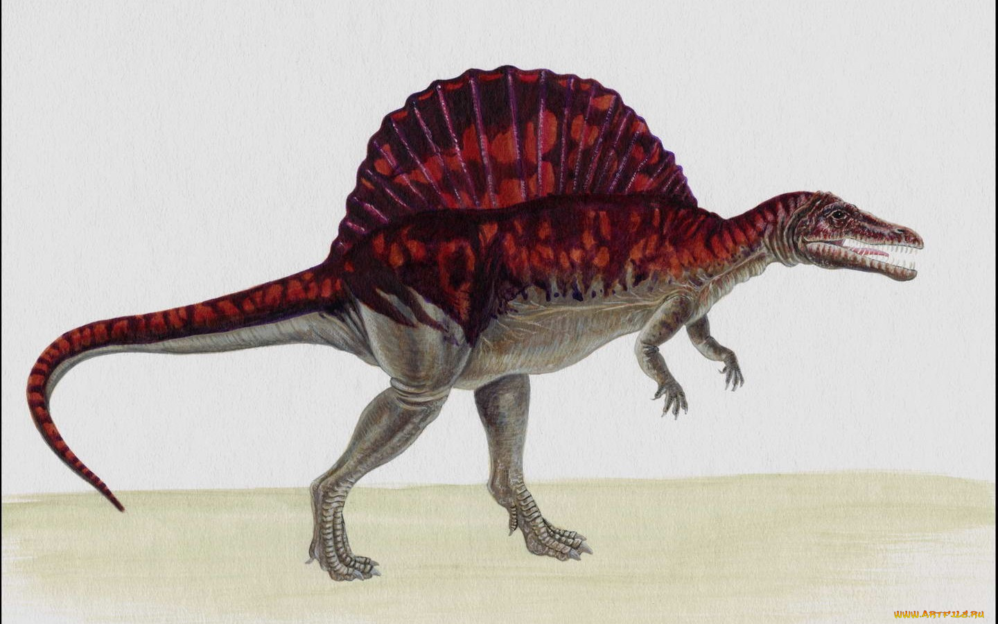 рисованные, животные, доисторические