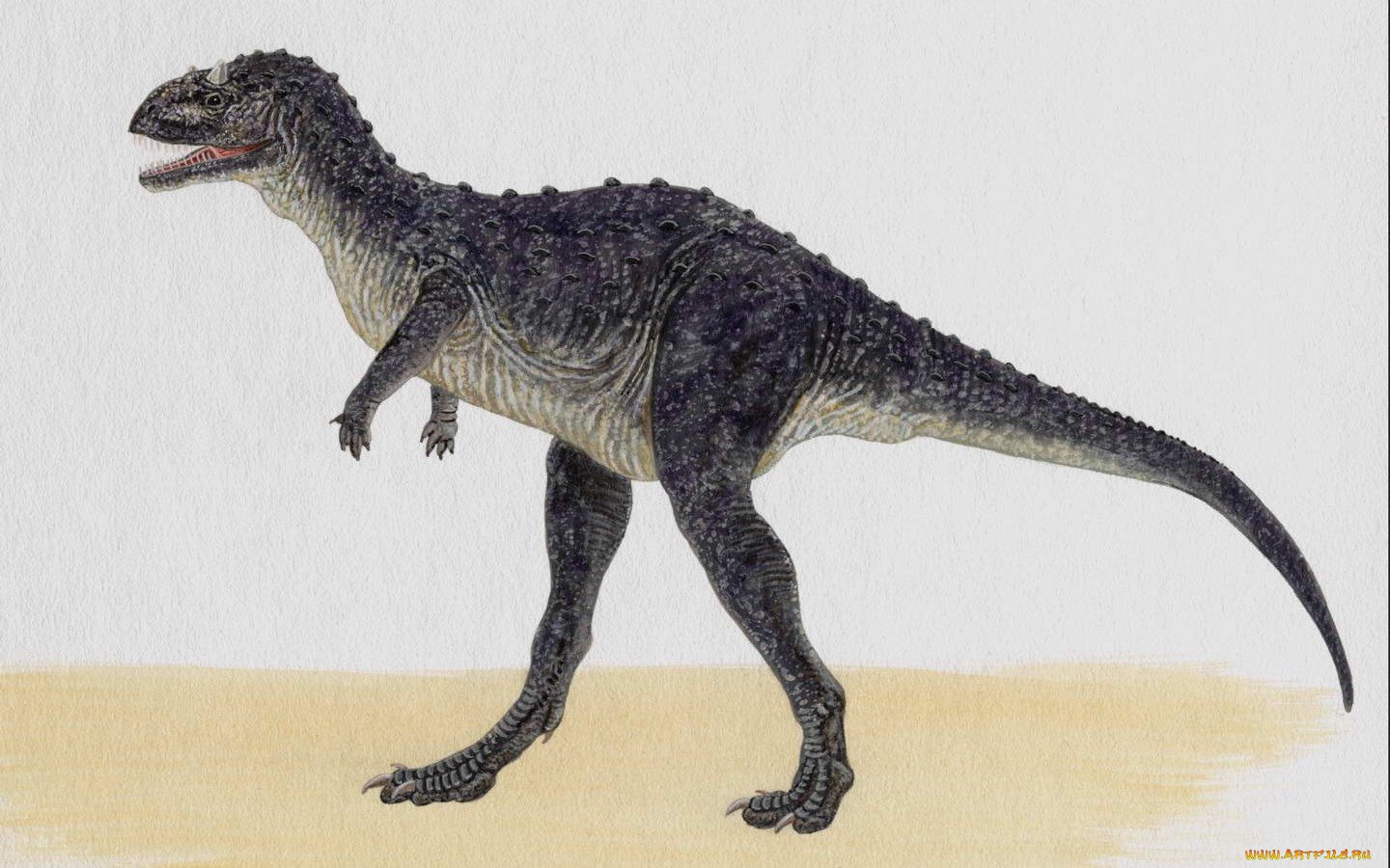 рисованные, животные, доисторические