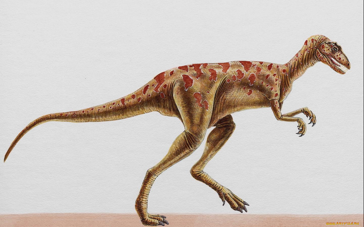 рисованные, животные, доисторические