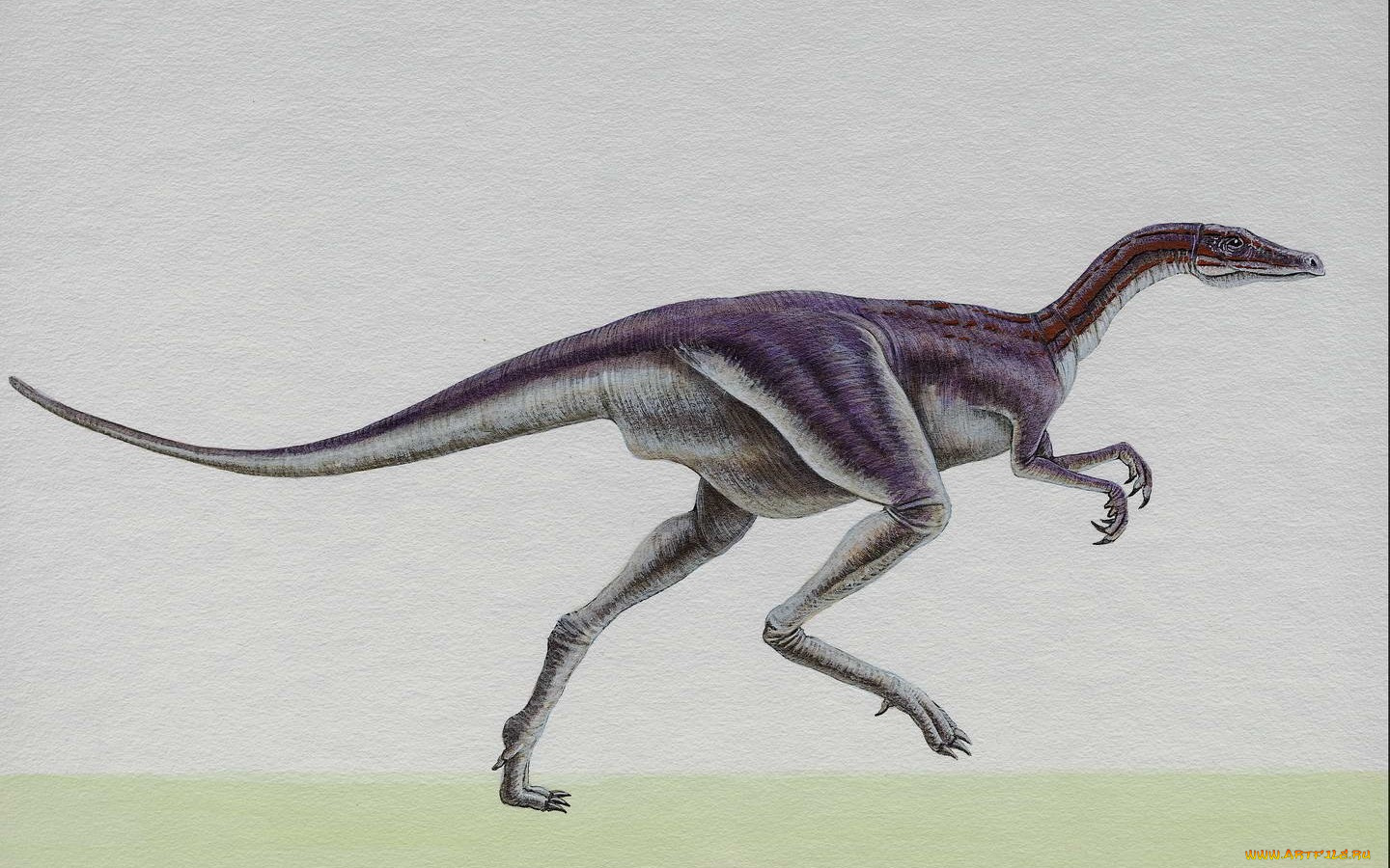 рисованные, животные, доисторические