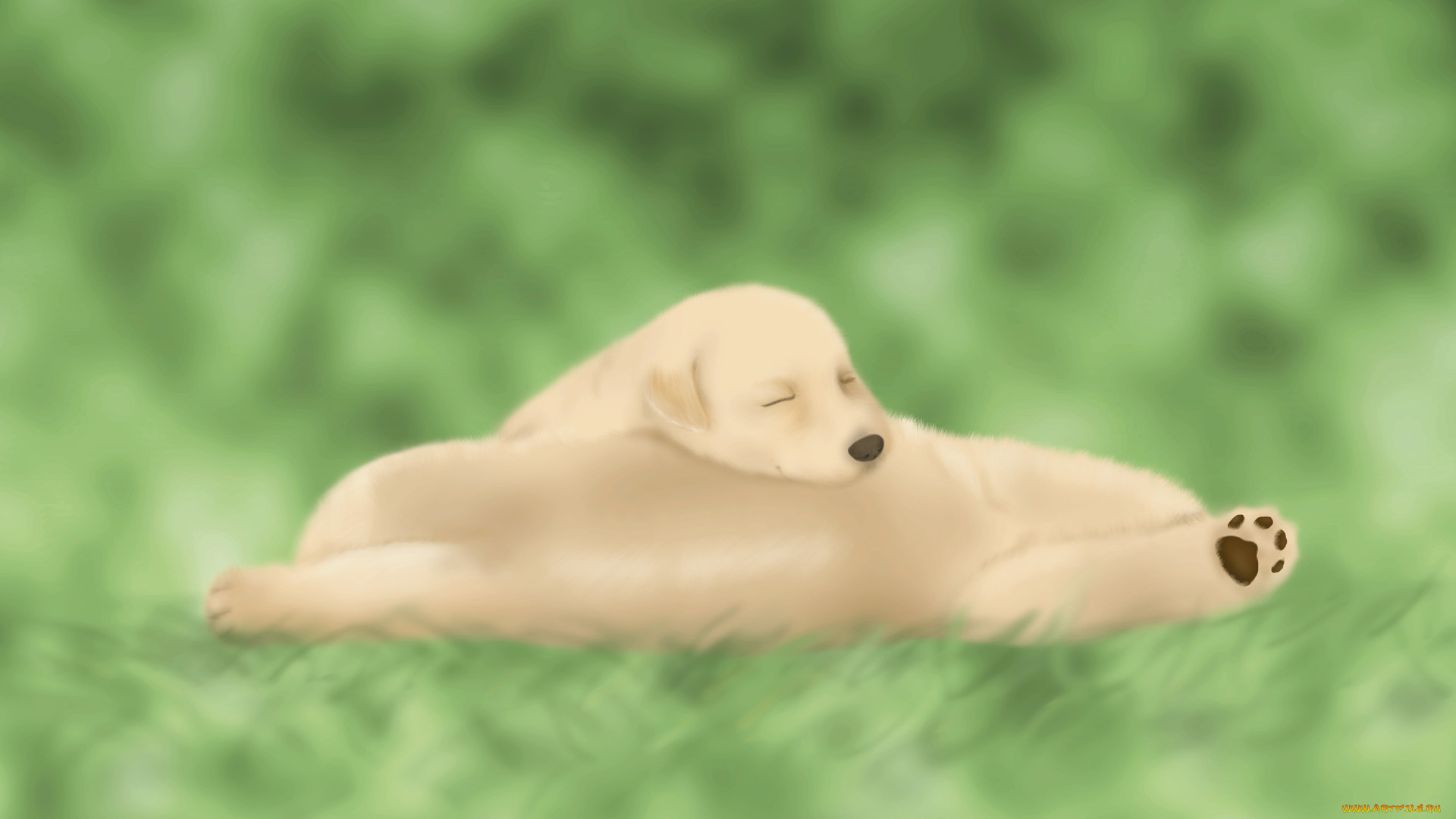 векторная, графика