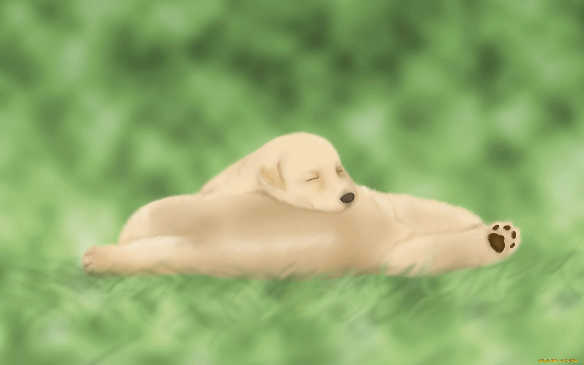 векторная, графика