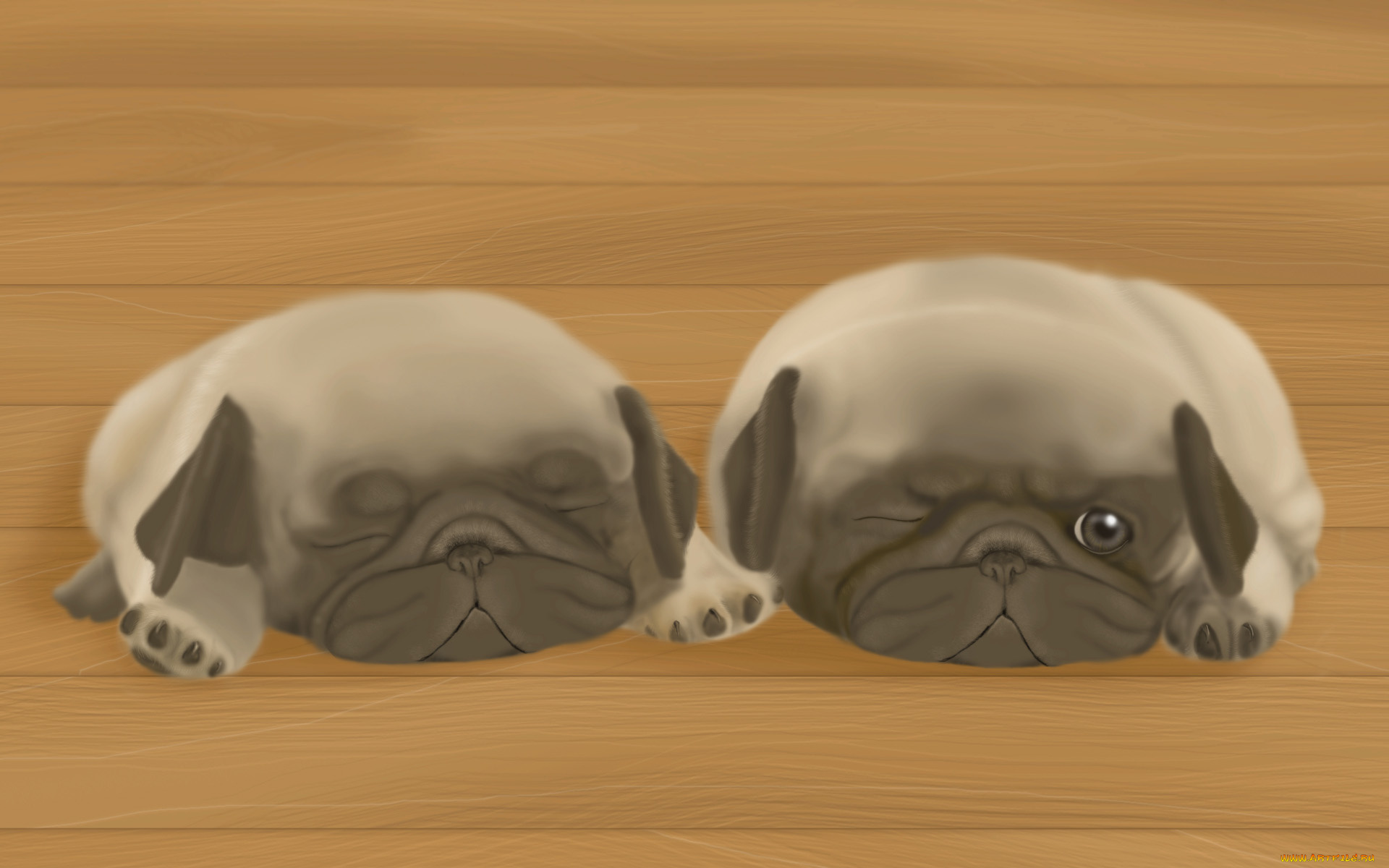 векторная, графика