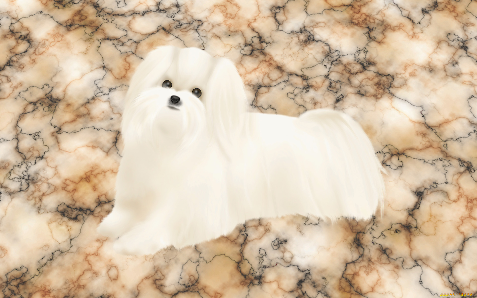 векторная, графика