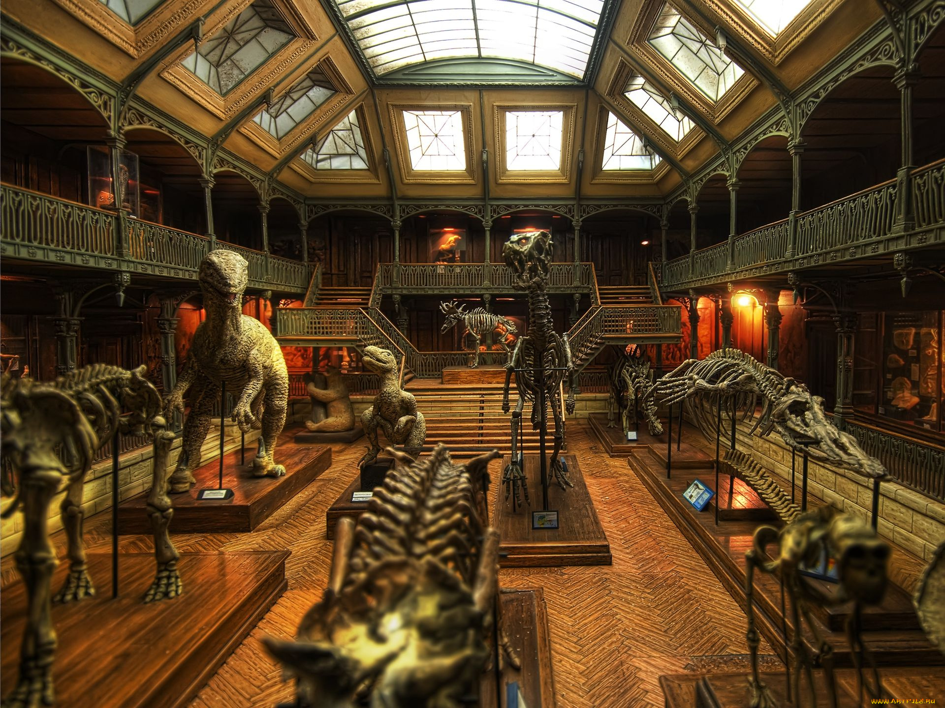 разное, рельефы, статуи, музейные, экспонаты