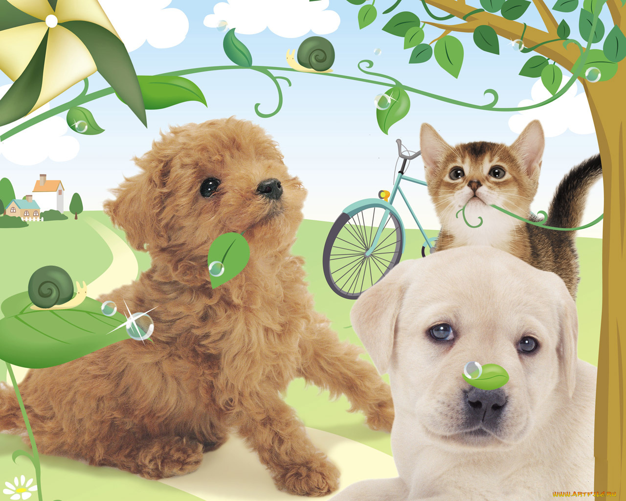 животные, разные, вместе