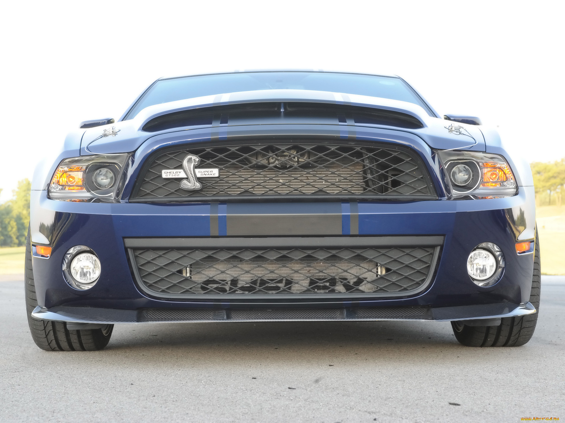 ford, shelby, gt500, super, snake, автомобили, mustang