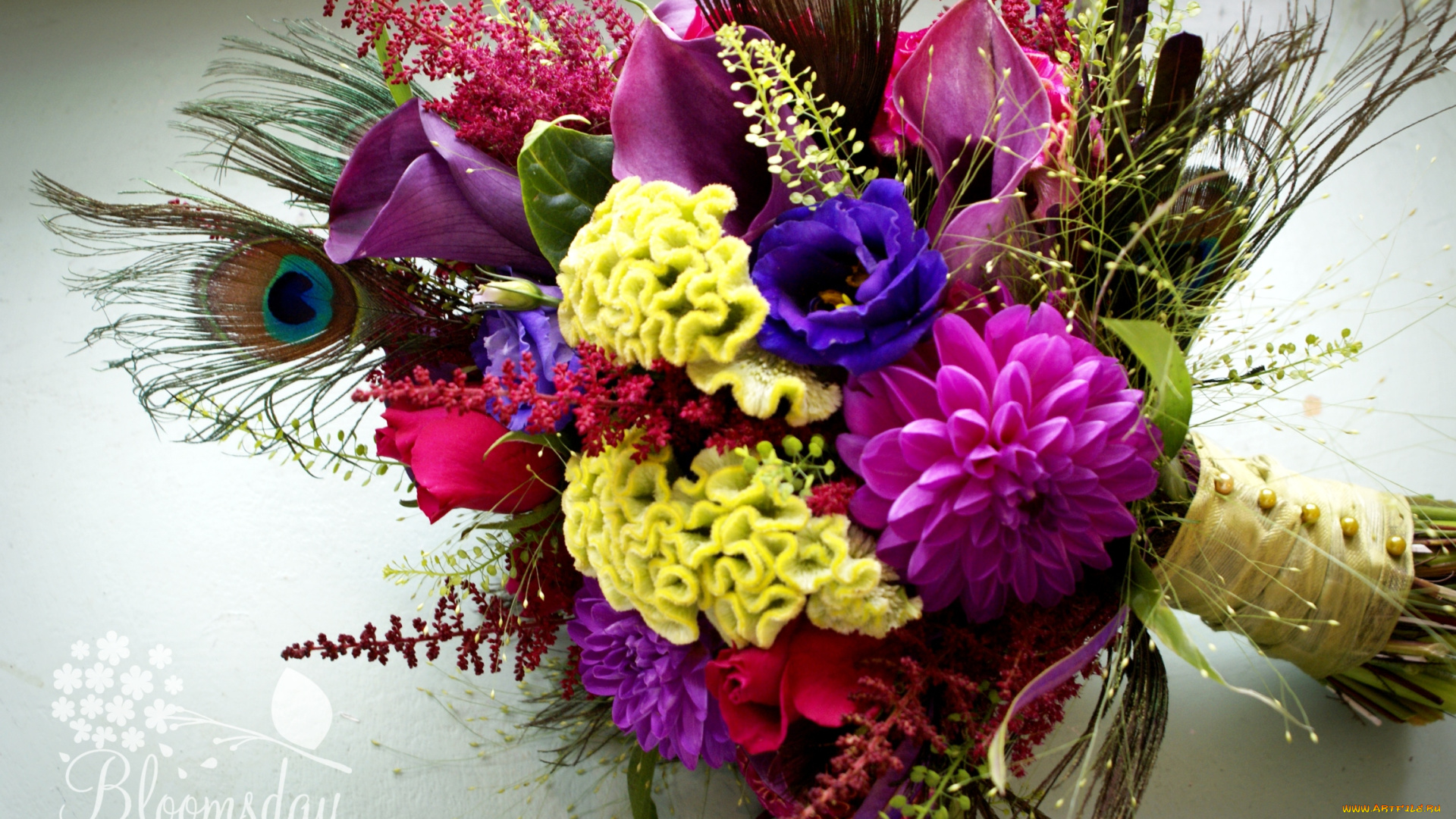 цветы, букеты, композиции, георгины, эустома, каллы, розы, павлинье, перо