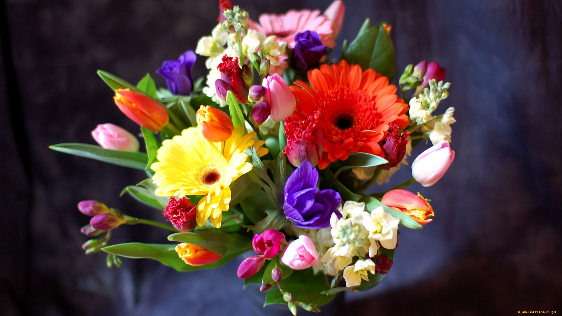 цветы, букеты, композиции, герберы, анемоны, тюльпаны, левкой