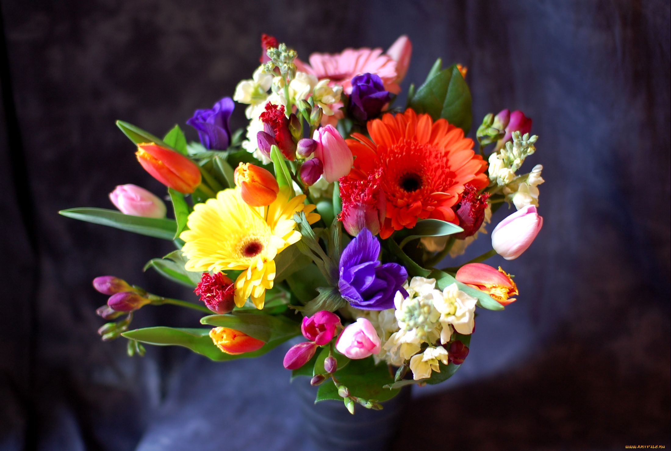 цветы, букеты, композиции, герберы, анемоны, тюльпаны, левкой