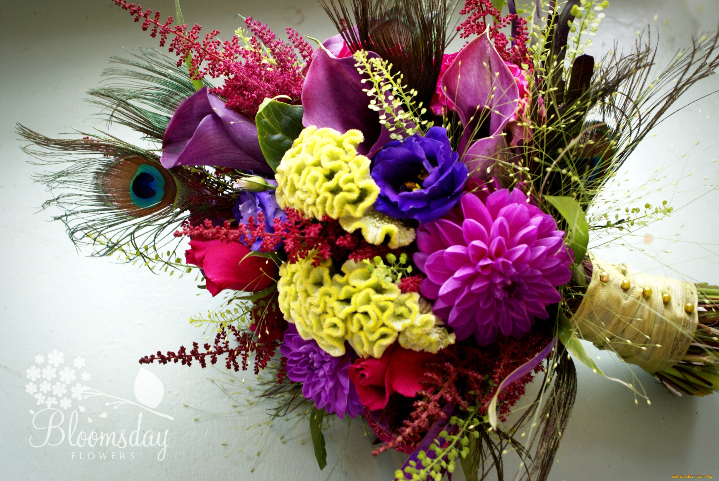 цветы, букеты, композиции, георгины, эустома, каллы, розы, павлинье, перо