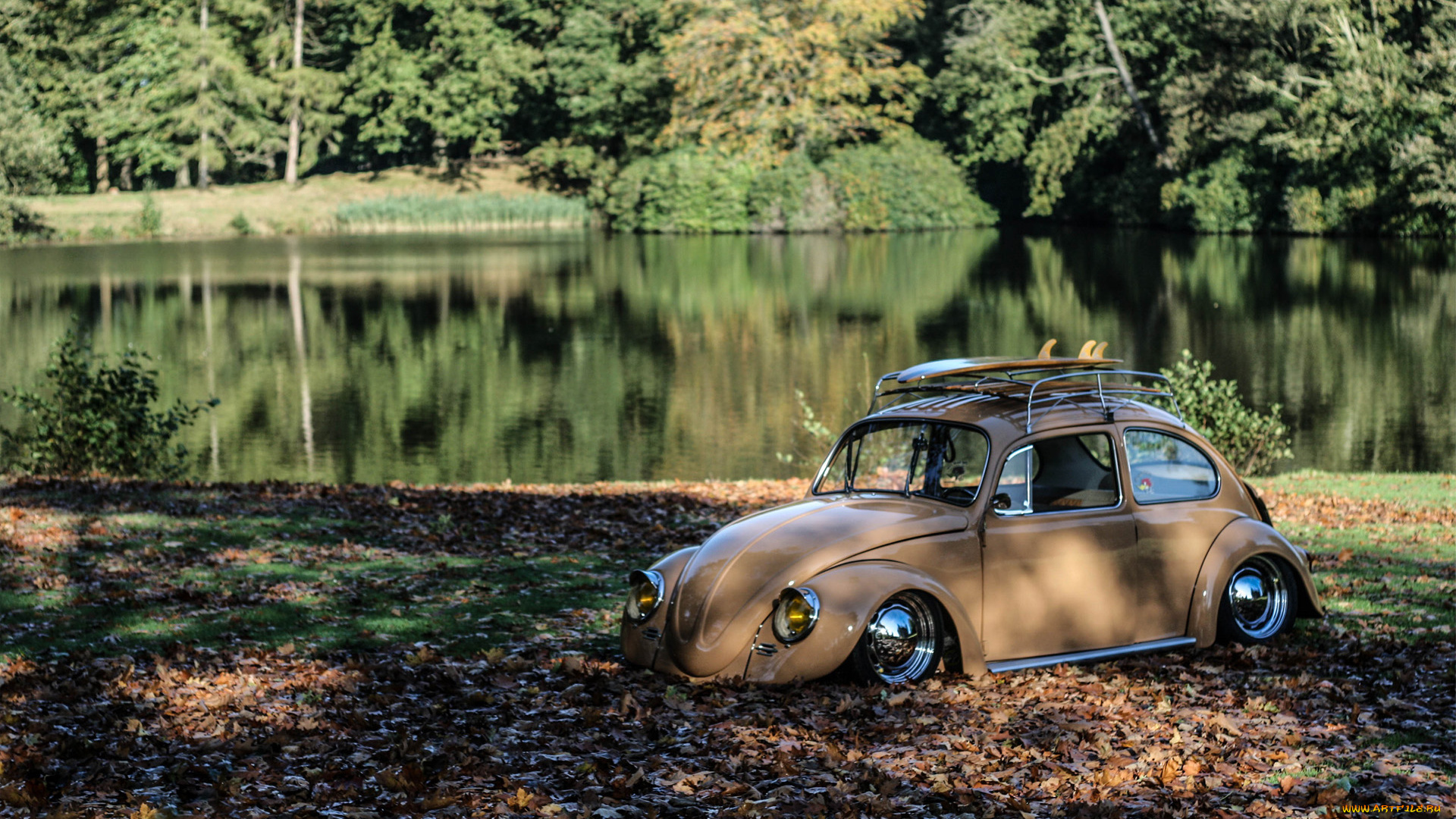 автомобили, volkswagen, vw