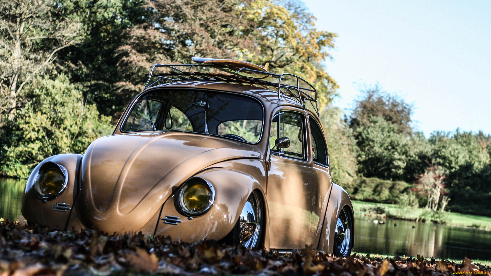 автомобили, volkswagen, vw