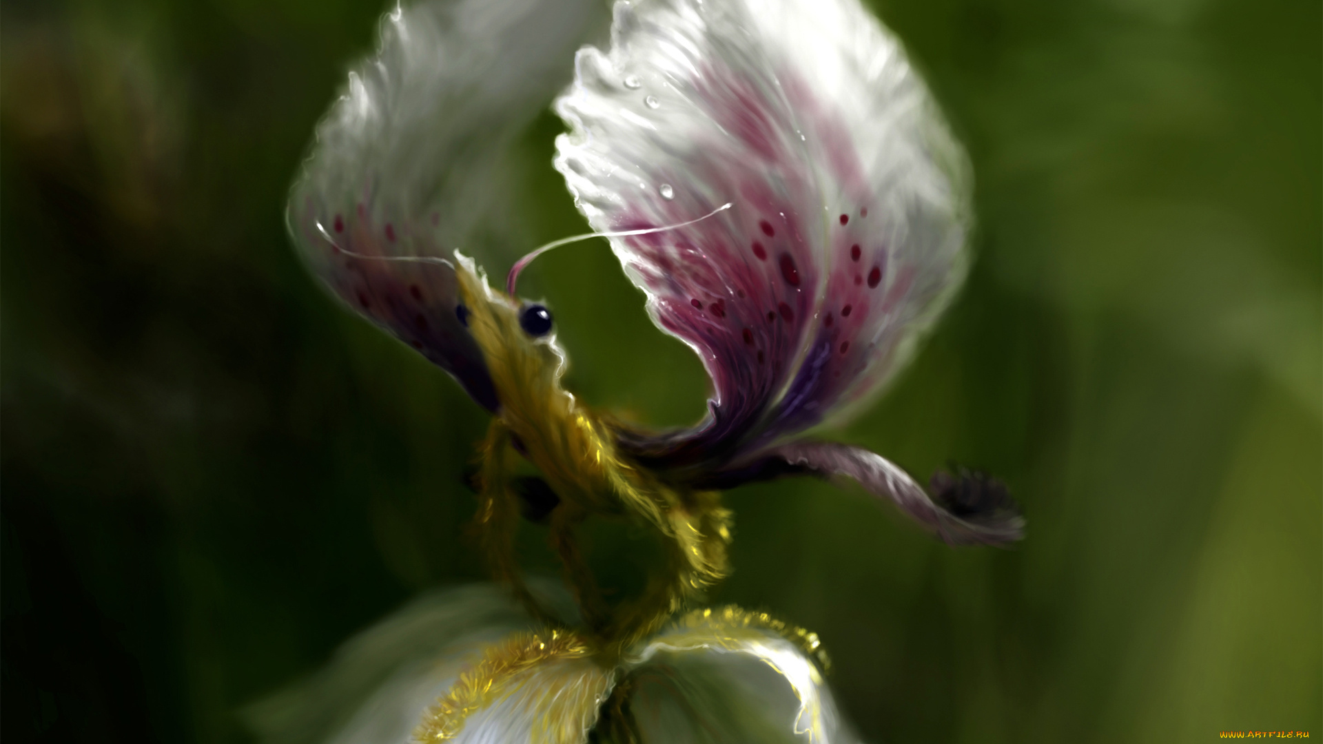 фэнтези, существа, крылья, лепестки, ирис, цветок, существо, фантазия, арт