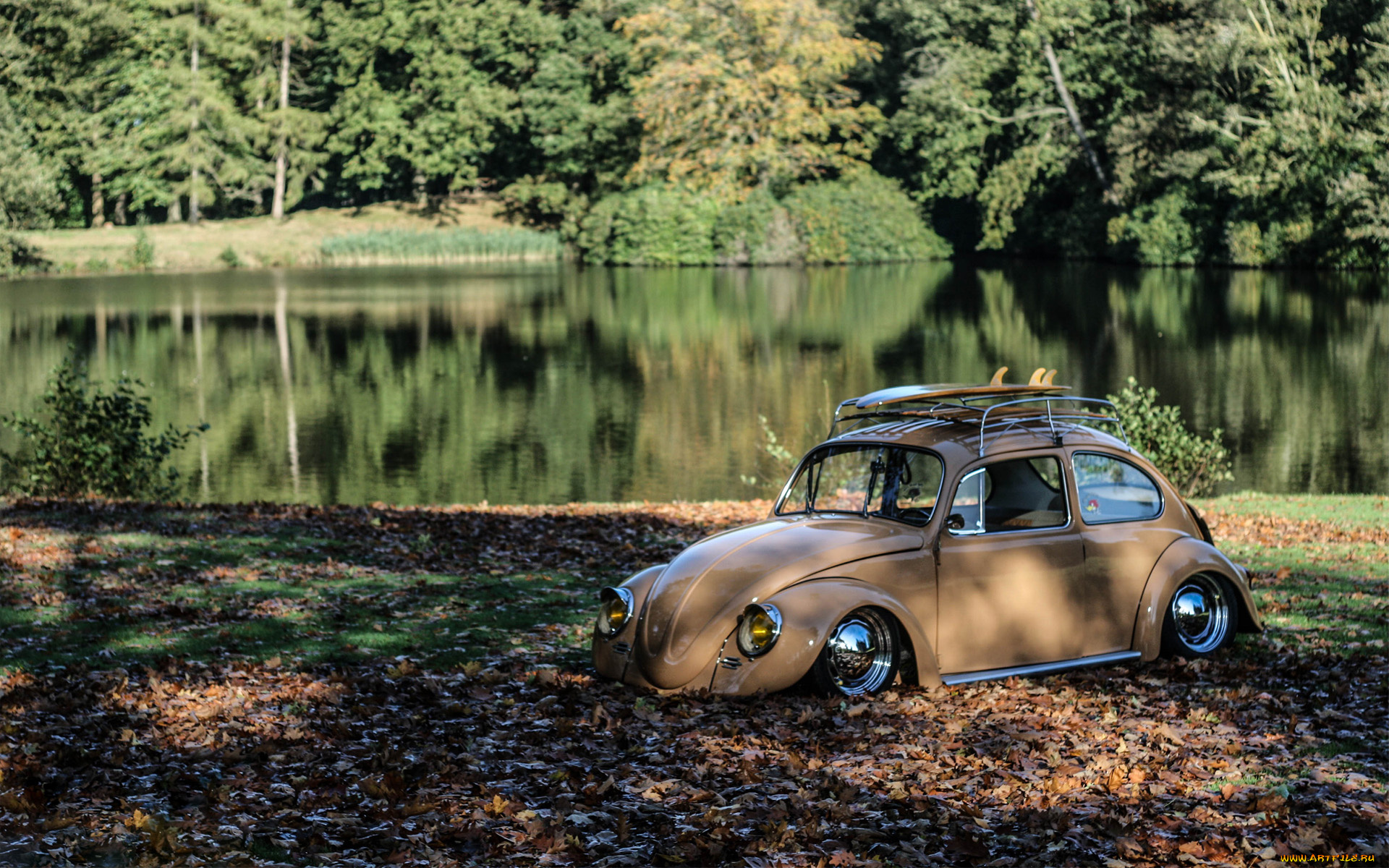 автомобили, volkswagen, vw