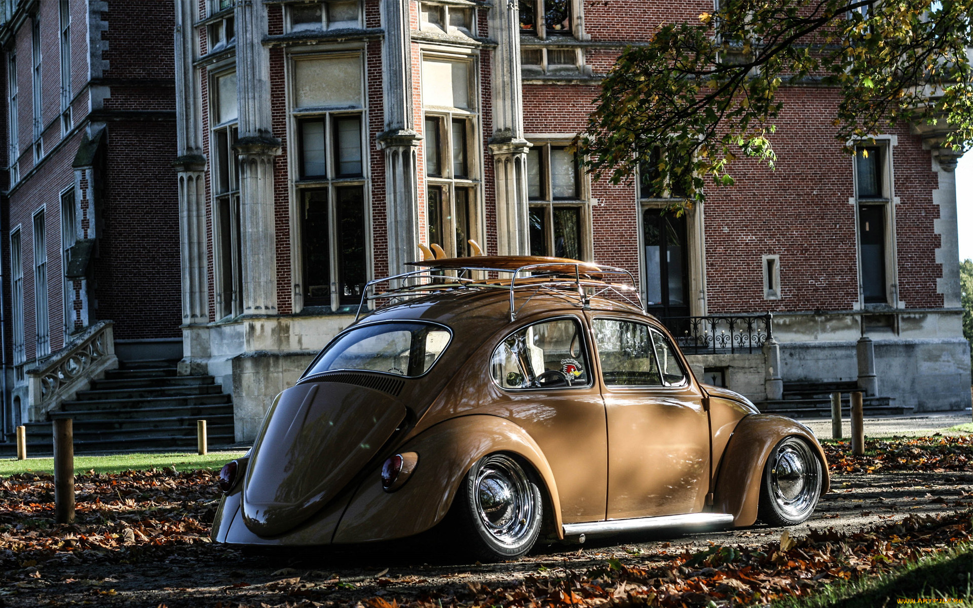 автомобили, volkswagen, vw