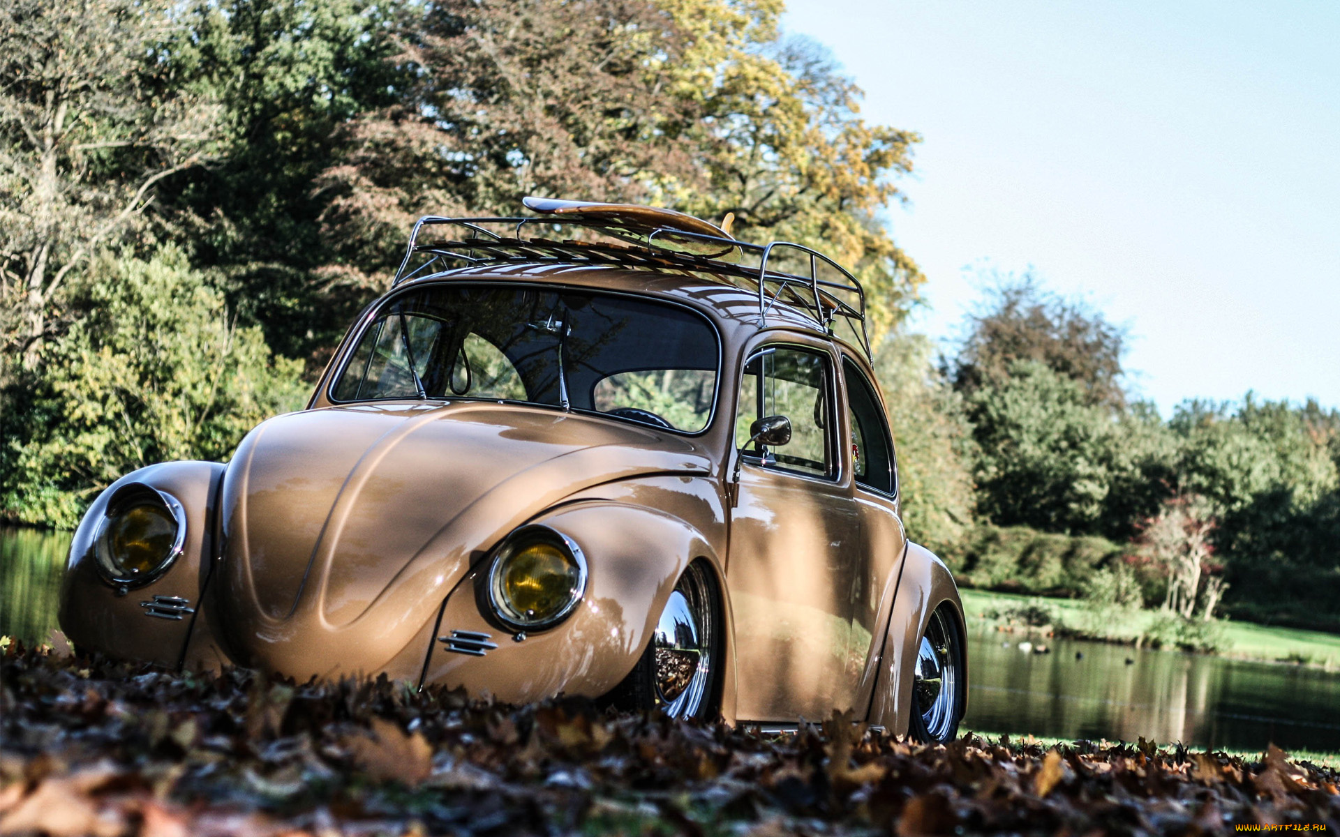 автомобили, volkswagen, vw