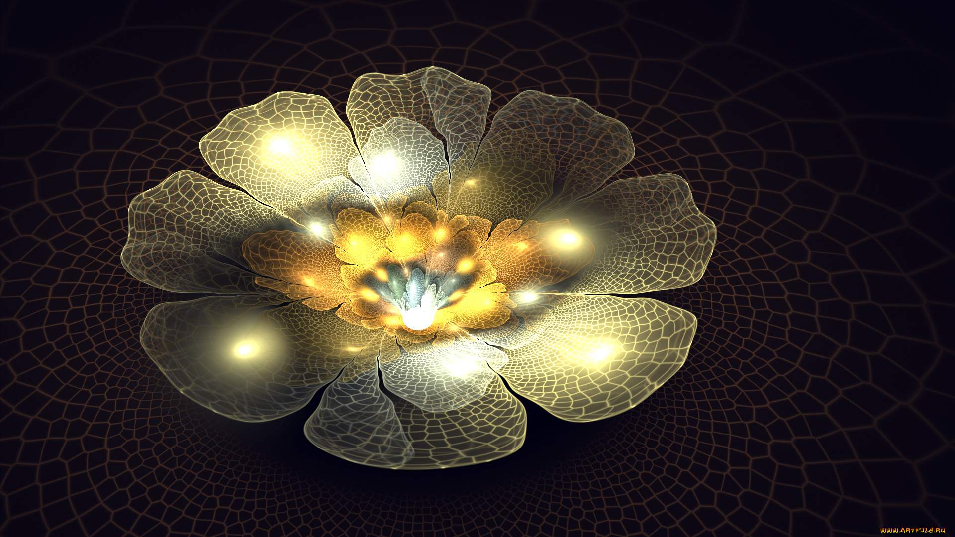 3д, графика, цветы, , flowers, узор, фон, цвета