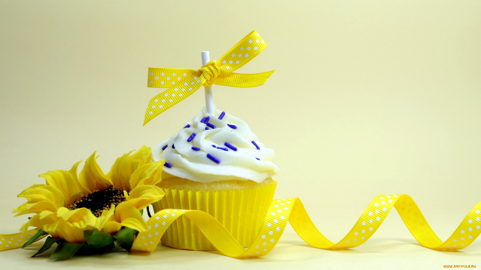 еда, пирожные, , кексы, , печенье, подсолнух