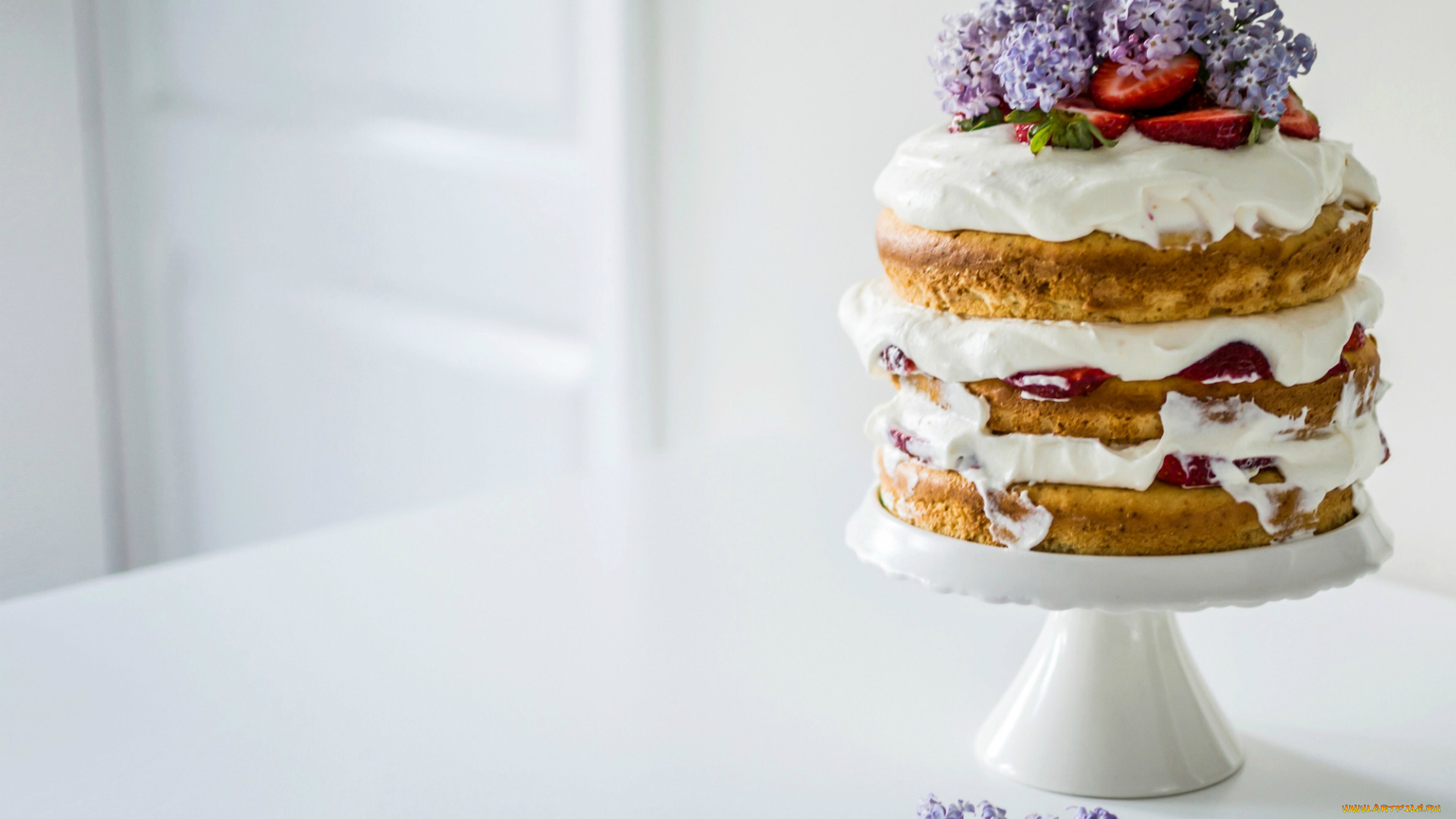еда, торты, клубника, сирень, цветы, крем, коржи, торт
