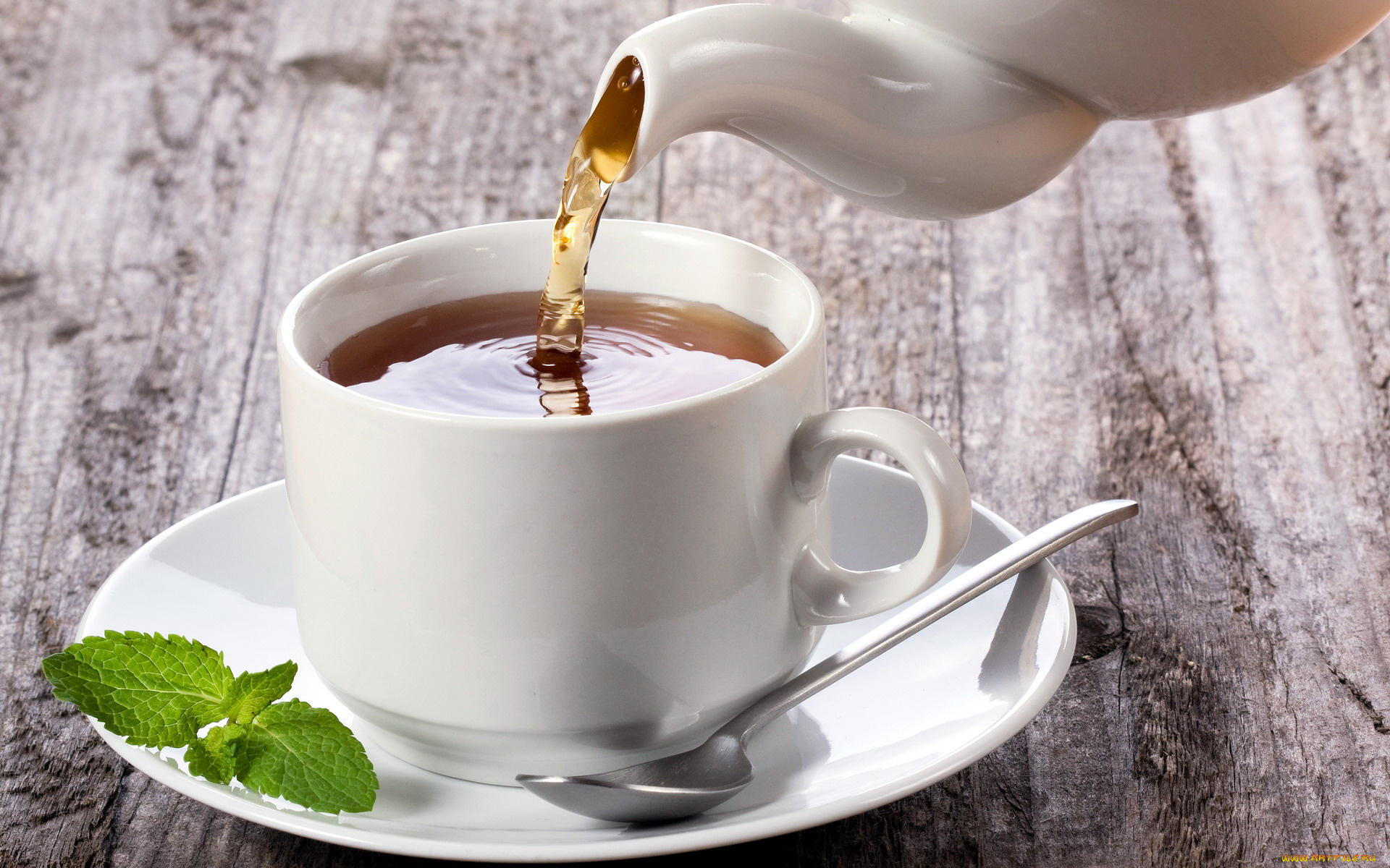 еда, напитки, , Чай, мята, заварник