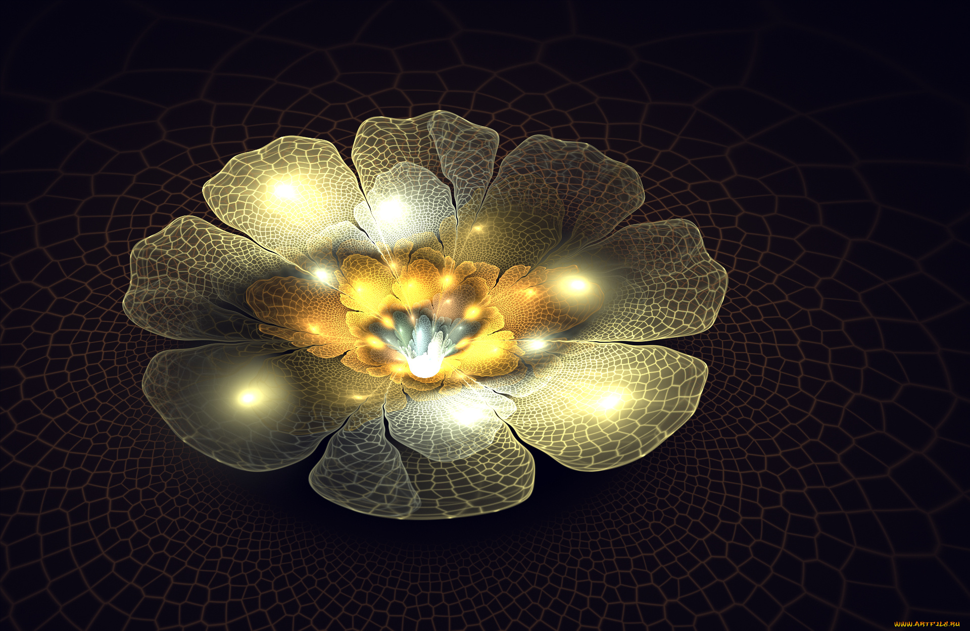 3д, графика, цветы, , flowers, узор, фон, цвета