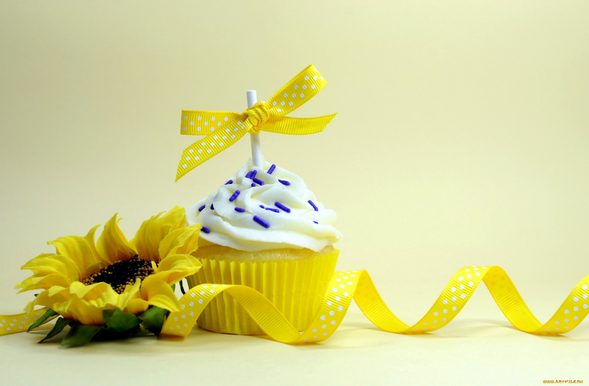 еда, пирожные, , кексы, , печенье, подсолнух