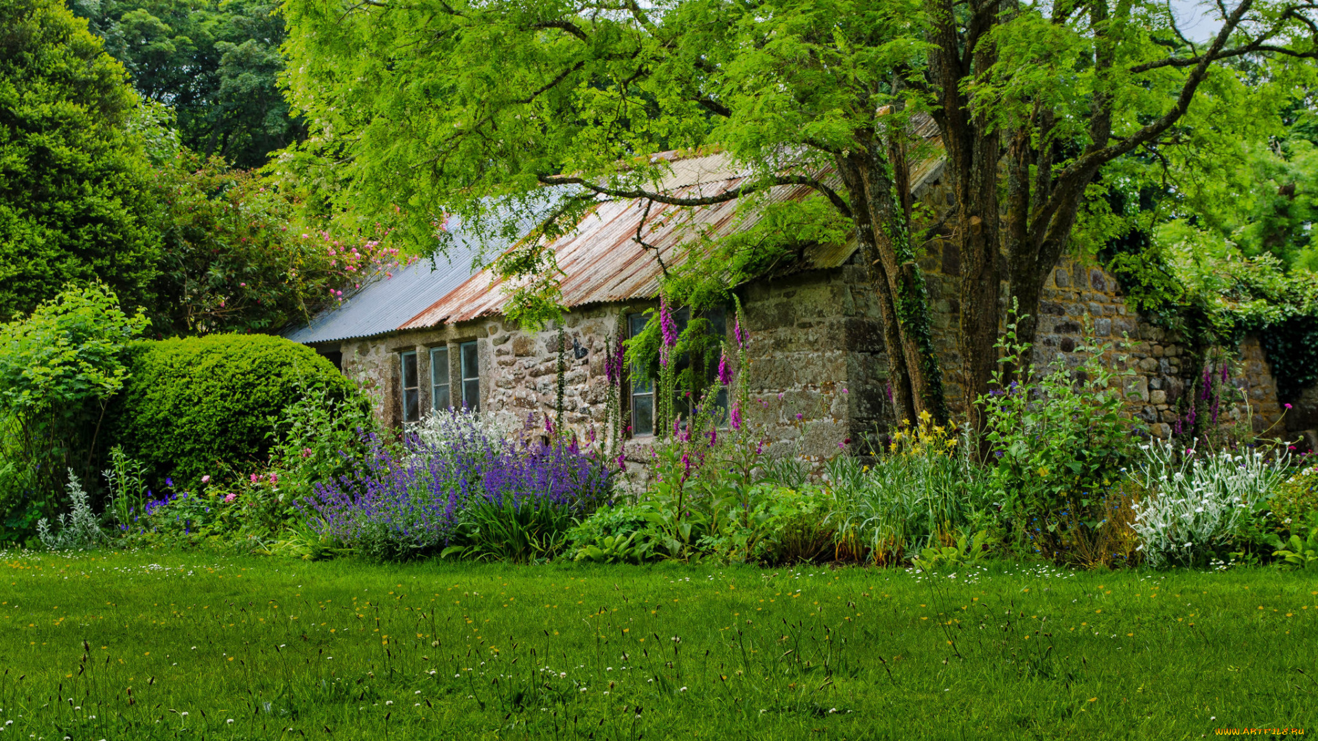города, -, здания, , дома, дом, загородный