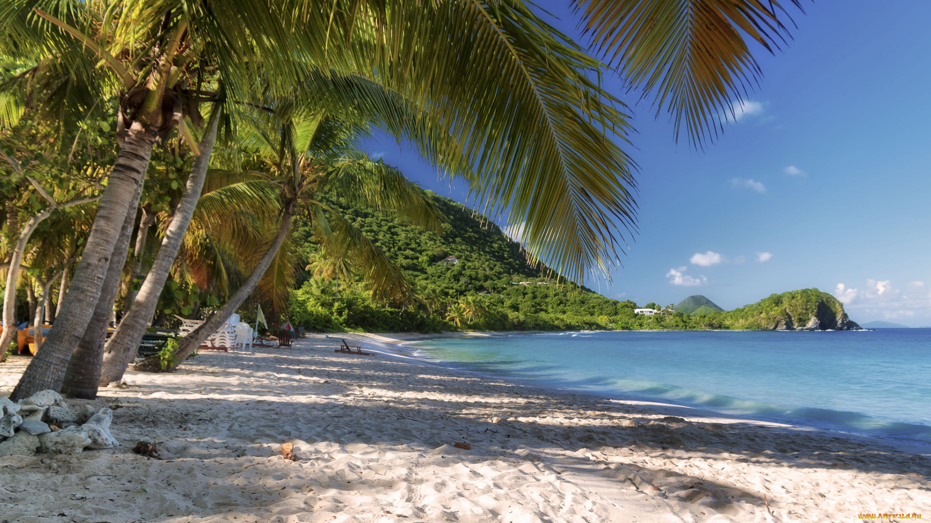 природа, тропики, берег, океан