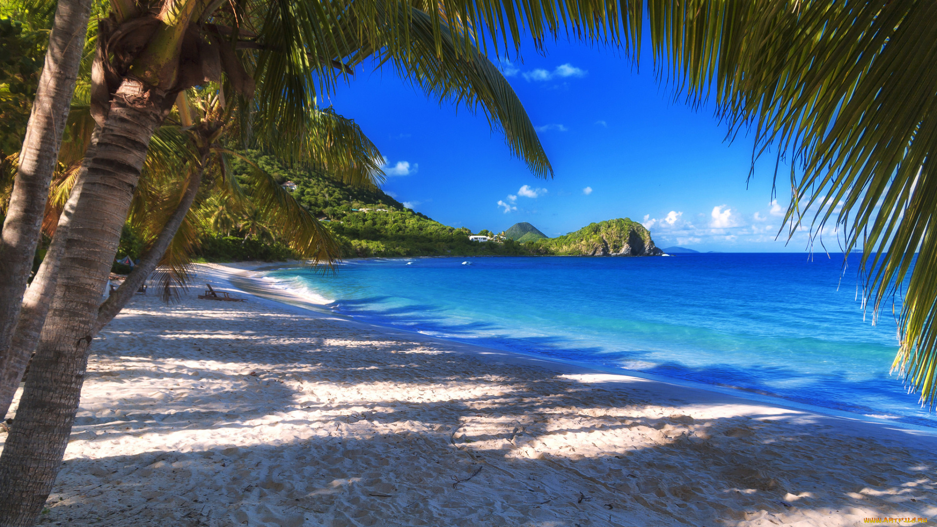 природа, тропики, берег, океан